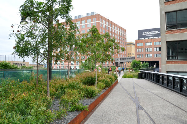 How To Walk the High Line in NYC and Not Miss a Thing – Blog