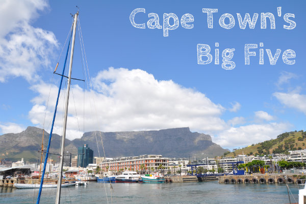 Cape Town's Big Five