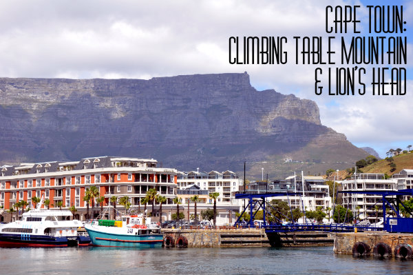 Climbing Table Mountain in Cape Town