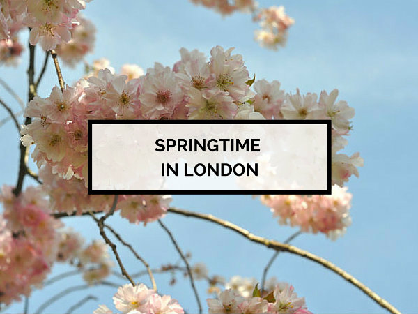 Spring in London & pretty cherry blossoms in Kensington Gardens