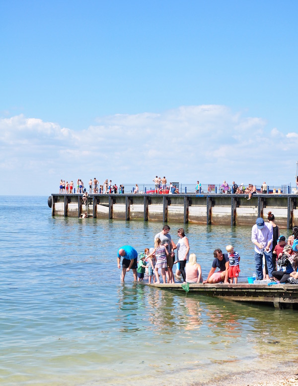A Day by the Seaside in Whitstable, Kent