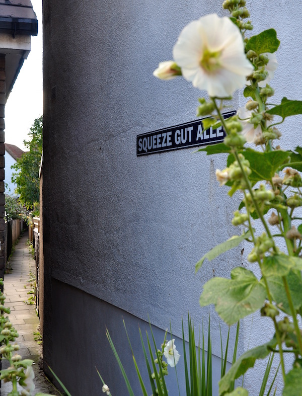 A Day by the Seaside in Whitstable, Kent