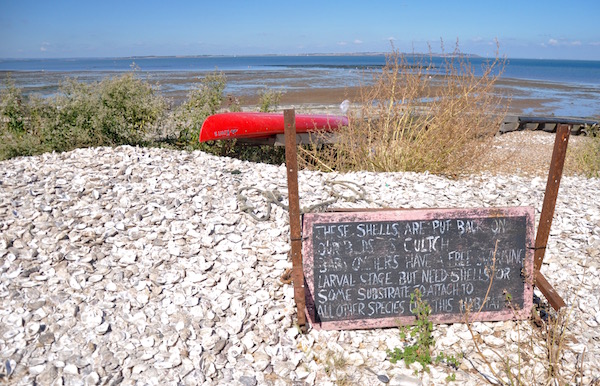 A Day by the Seaside in Whitstable, Kent