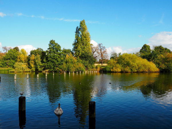 Autumn in London - Hyde Park