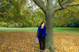 Autumn in London - Hyde Park