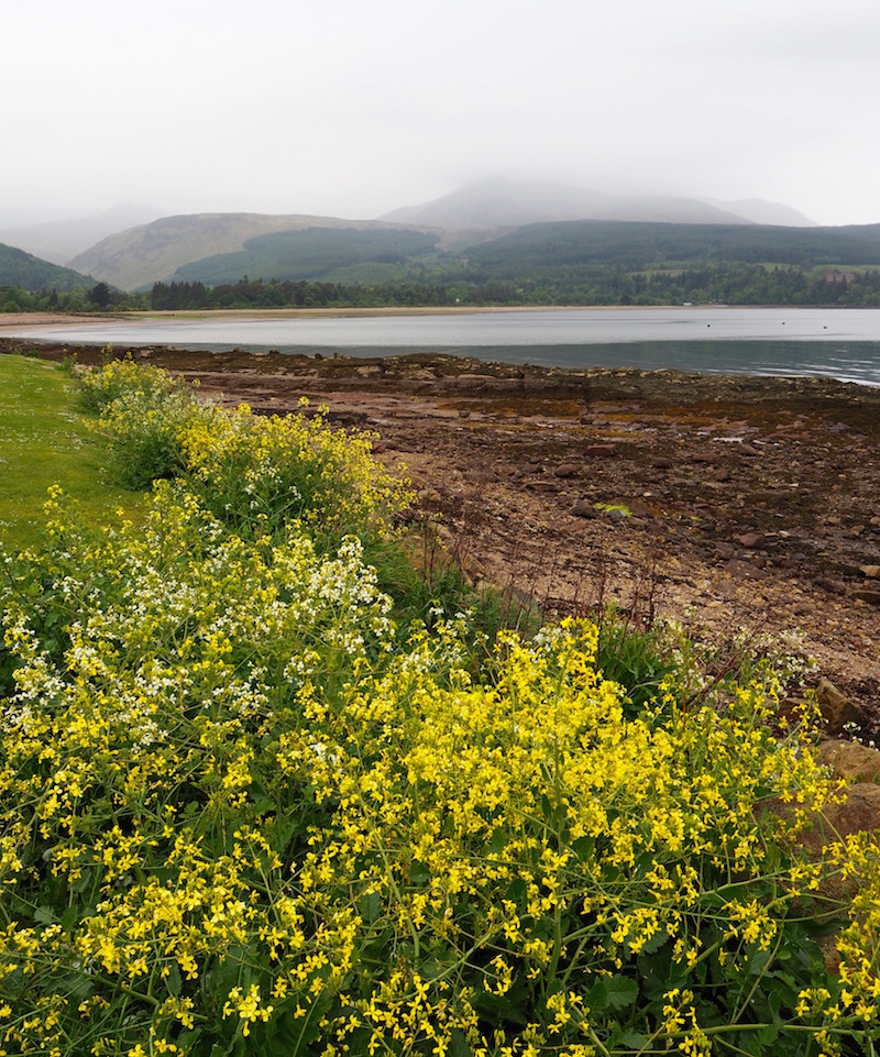 Arran: 24 Hours of Tranquility on a Scottish Isle