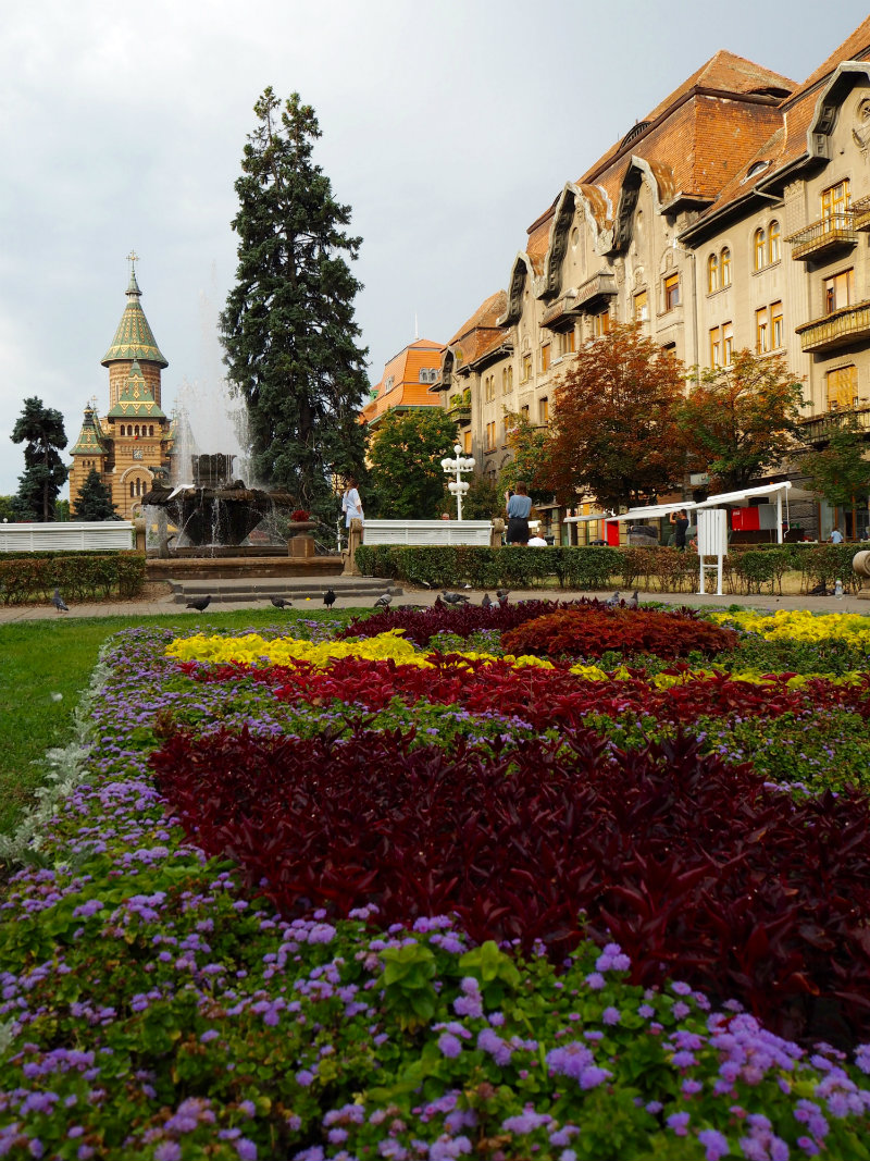 10 Essential Tips for Visiting Timisoara