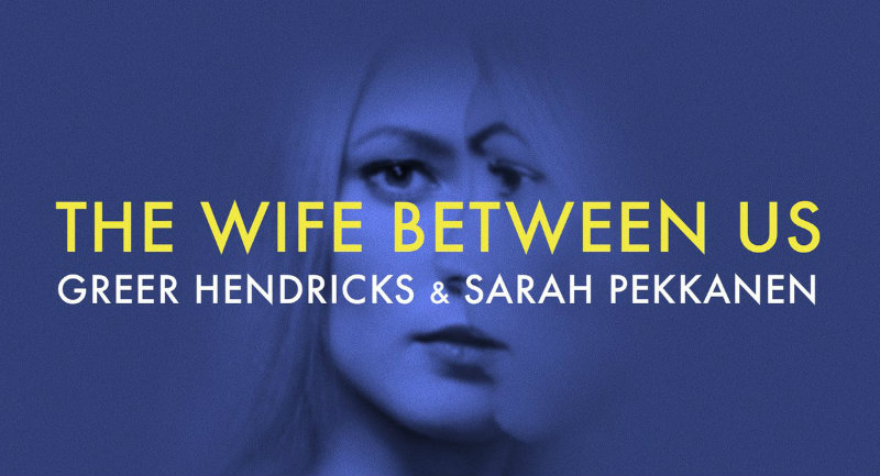 Book Recommendation: The Wife Between Us