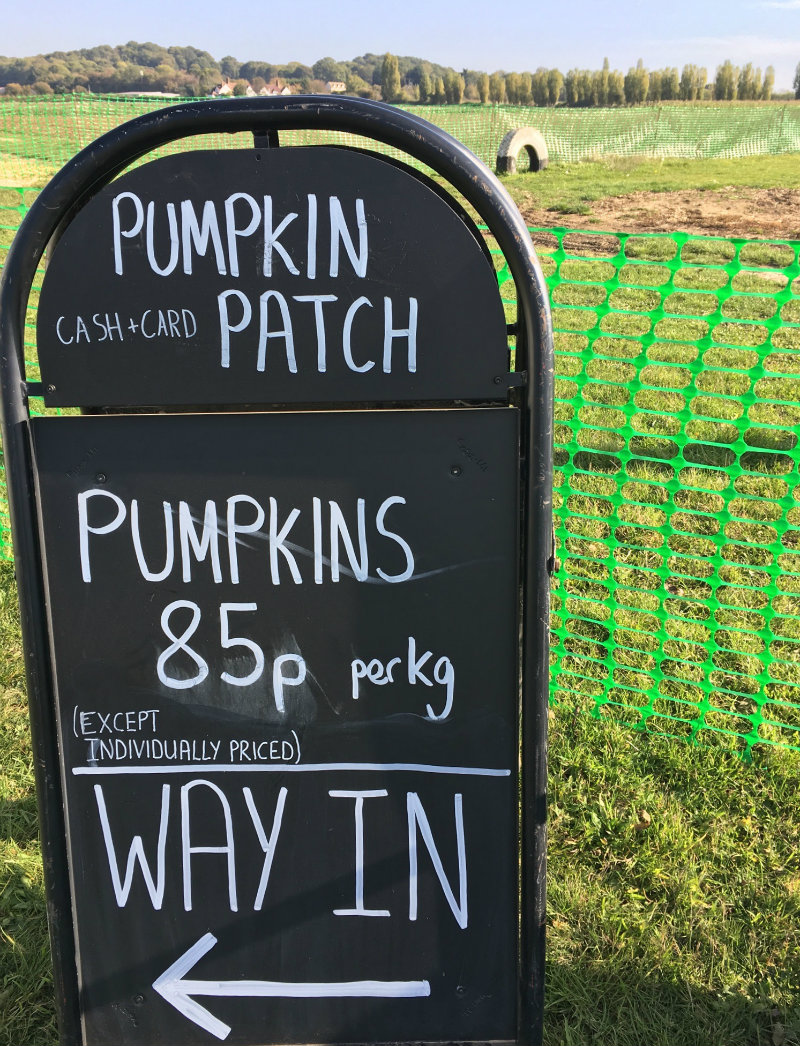 Pumpkin patch sign: Pumpkin Picking in Kent