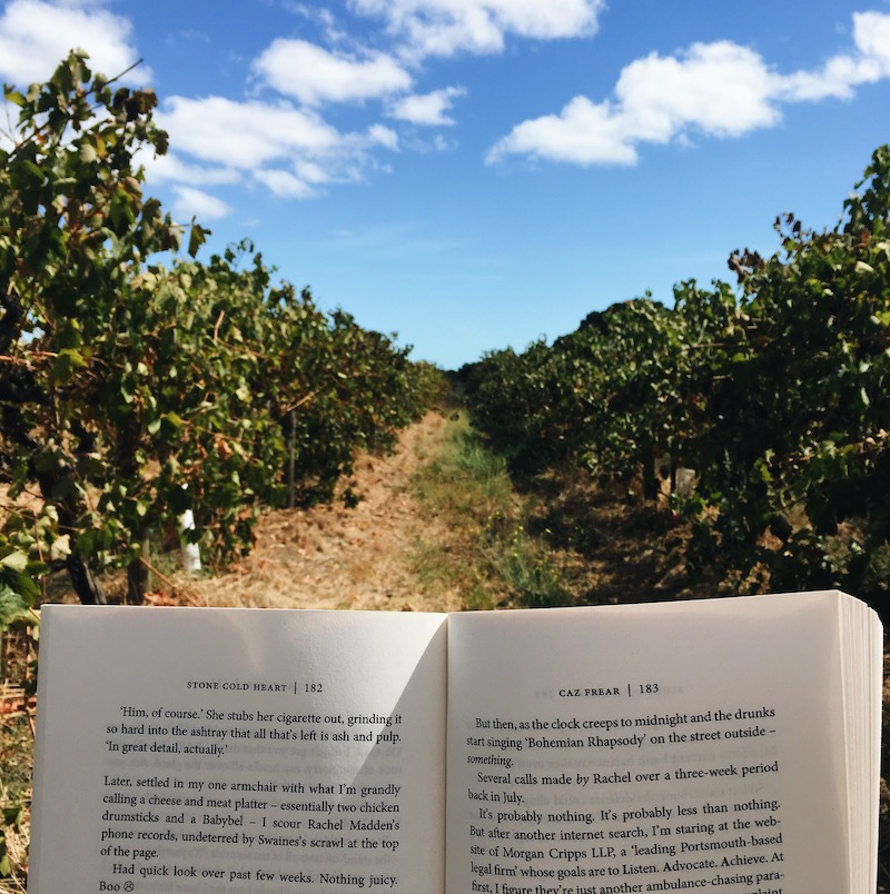Open book with vineyards in the background - A Writer's Diary: A Year in the Life of an Author #3