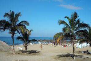 White sand beach framed by palm trees - the sun is shining and the sky is blue