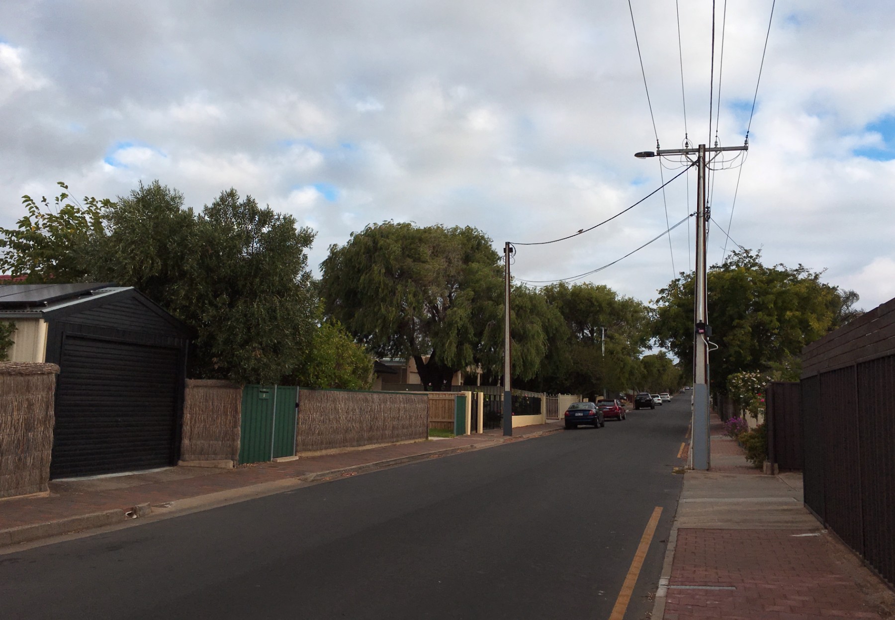 Residential street in Adelaide, with power lines overhead and brush fences on either side